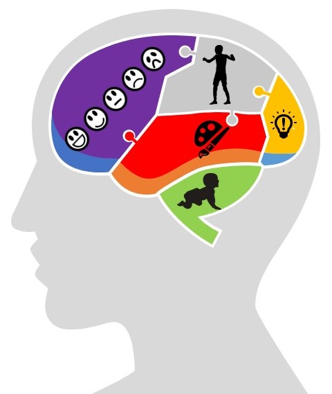 Identifier et diagnostiquer le Trouble de Déficit de l'Attention /  Hyperactivité (TDAH) – Le Collectif Handicap 54